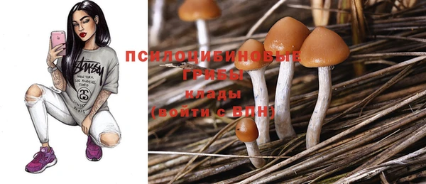 каннабис Новозыбков