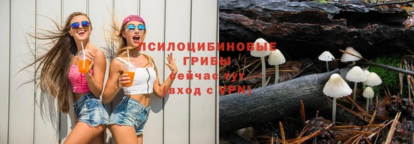 молекула духа Щучье