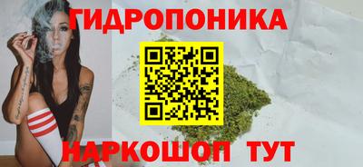 бошки Абинск
