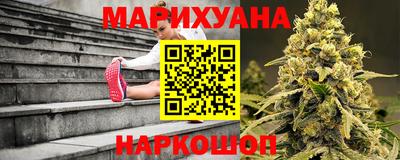 дживик Гай
