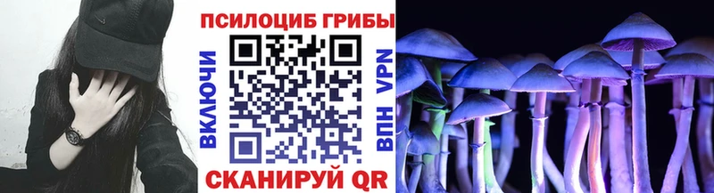Галлюциногенные грибы мицелий  Алексеевка 