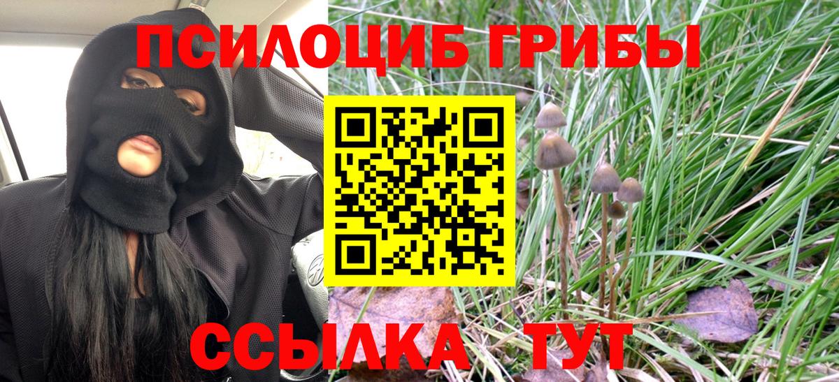 Алексеевка  даркнет сайт  Вход с VPN  Псилоцибиновые грибы мухоморы 