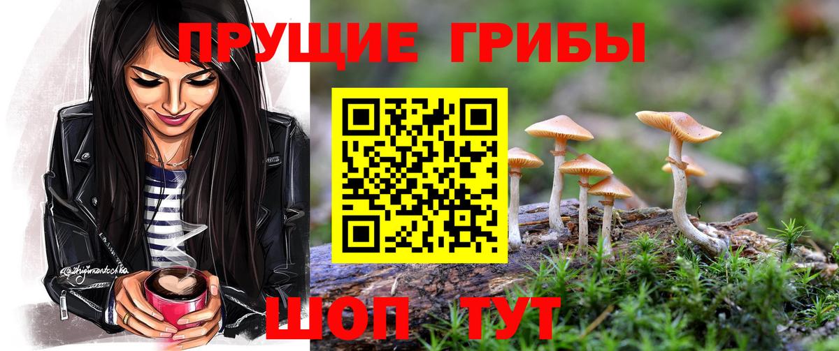 Галлюциногенные грибы MAGIC MUSHROOMS Алексеевка